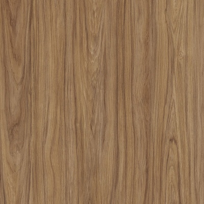 Illinois Pecan 1 фото