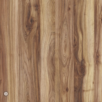 Mambo Pecan 1 фото