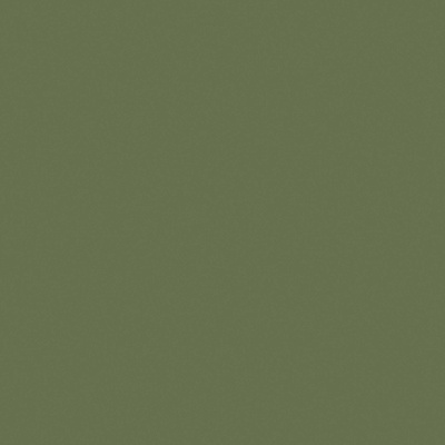 Olive Green 1 фото